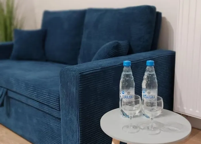 Zyczliwy Apartament Z Garazem